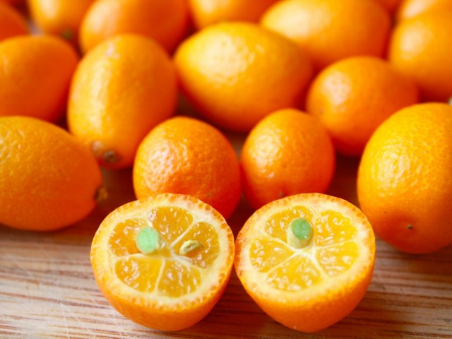 Kumquat Season is here!